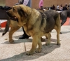Filename=Leona.jpg
Filesize=115KiB
Dimensions=960x837
Date added=%886 %05, %2017 Leona.jpg