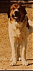 Filename=Lindero2C_anos_80.jpg
Filesize=78KiB
Dimensions=640x1351
Date added=%967 %08, %2021 Lindero2C_anos_80.jpg