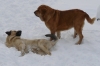 Filename=Listopad-r%2Bh.jpg
Filesize=66KiB
Dimensions=599x398
Date added=%524 %02, %2007 Listopad-r%2Bh.jpg