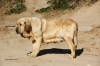 Filename=Lola-de-Montes-del-Pardo.jpg
Filesize=113KiB
Dimensions=1200x800
Date added=%766 %10, %2012 Lola-de-Montes-del-Pardo.jpg