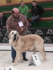 Filename=Loredo_2010_(AEPME)_—_with_Bach_.jpg
Filesize=76KiB
Dimensions=540x720
Date added=%714 %11, %2015 Loredo_2010_(AEPME)_—_with_Bach_.jpg