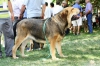 Filename=Lorena1.jpg
Filesize=100KiB
Dimensions=960x639
Date added=%737 %08, %2014 Lorena1.jpg