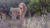 Filename=Lorena3.jpg
Filesize=132KiB
Dimensions=960x540
Date added=%735 %08, %2014 Lorena3.jpg