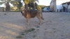 Filename=Lorena5.jpg
Filesize=108KiB
Dimensions=960x540
Date added=%733 %08, %2014 Lorena5.jpg