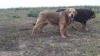 Filename=Lorena6.jpg
Filesize=138KiB
Dimensions=960x540
Date added=%732 %08, %2014 Lorena6.jpg