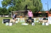 Filename=Los_ganadores_en_Muy_Cachorros_Machos.jpg
Filesize=323KiB
Dimensions=1296x864
Date added=%671 %03, %2017 Los_ganadores_en_Muy_Cachorros_Machos.jpg
