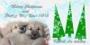 Filename=Lu_dareva_xmas14.jpg
Filesize=69KiB
Dimensions=960x480
Date added=%048 %23, %2014 Lu_dareva_xmas14.jpg