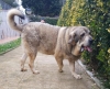 Filename=Luca-1.jpg
Filesize=123KiB
Dimensions=960x787
Date added=%790 %29, %2019 Luca-1.jpg