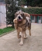 Filename=Luca-2.jpg
Filesize=134KiB
Dimensions=793x960
Date added=%790 %29, %2019 Luca-2.jpg