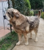 Filename=Luca2C.jpg
Filesize=129KiB
Dimensions=858x960
Date added=%790 %29, %2019 Luca2C.jpg