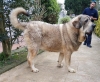 Filename=Luca__.jpg
Filesize=140KiB
Dimensions=960x796
Date added=%790 %29, %2019 Luca__.jpg