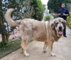 Filename=Luca_de_Gustamores.jpg
Filesize=121KiB
Dimensions=960x815
Date added=%790 %29, %2019 Luca_de_Gustamores.jpg