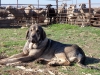 Filename=Luna_de_Abelgas.jpg
Filesize=528KiB
Dimensions=1600x1200
Date added=%768 %05, %2019 Luna_de_Abelgas.jpg