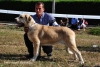 Filename=MB-Celeste-B.jpg
Filesize=168KiB
Dimensions=1100x737
Date added=%965 %20, %2011 MB-Celeste-B.jpg