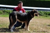 Filename=MB-Julie-A.jpg
Filesize=168KiB
Dimensions=1098x737
Date added=%963 %20, %2011 MB-Julie-A.jpg