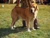Filename=M_B_30_8_09_abonni.jpg
Filesize=139KiB
Dimensions=941x706
Date added=%456 %04, %2009 M_B_30_8_09_abonni.jpg