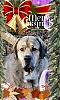 Filename=Margareta_Hamrer_Alf.jpg
Filesize=303KiB
Dimensions=939x1558
Date added=%048 %01, %2021 Margareta_Hamrer_Alf.jpg