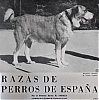 Filename=Mastin_Espanol2C1963.jpg
Filesize=80KiB
Dimensions=1080x1090
Date added=%758 %14, %2021 Mastin_Espanol2C1963.jpg