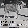 Mastin_Espanol2C1963.jpg