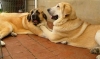 Filename=May5%2C2005-043.jpg
Filesize=31KiB
Dimensions=640x380
Date added=%750 %06, %2006 May5%2C2005-043.jpg