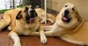 Filename=May5%2C2005-049.jpg
Filesize=29KiB
Dimensions=640x333
Date added=%752 %06, %2006 May5%2C2005-049.jpg