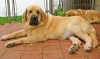 Filename=May5%2C2005-074.jpg
Filesize=39KiB
Dimensions=640x380
Date added=%764 %06, %2006 May5%2C2005-074.jpg