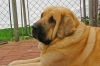 Filename=May5%2C2005-080.jpg
Filesize=41KiB
Dimensions=640x425
Date added=%754 %06, %2006 May5%2C2005-080.jpg