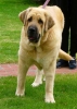Filename=May5%2C2005-104.jpg
Filesize=25KiB
Dimensions=345x480
Date added=%763 %06, %2006 May5%2C2005-104.jpg