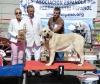 Filename=Mejor_joven_absoluto_Ana_de_Loredo.jpg
Filesize=100KiB
Dimensions=782x662
Date added=%607 %05, %2015 Mejor_joven_absoluto_Ana_de_Loredo.jpg