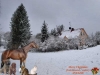 Filename=Merry-Christmas-from-Anuler.jpg
Filesize=36KiB
Dimensions=600x450
Date added=%867 %25, %2008 Merry-Christmas-from-Anuler.jpg