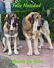 Filename=Monte_Da_Cova.jpg
Filesize=512KiB
Dimensions=1627x2015
Date added=%048 %01, %2021 Monte_Da_Cova.jpg
