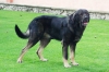 Filename=Moro.jpg
Filesize=78KiB
Dimensions=1000x667
Date added=%866 %01, %2007 Moro.jpg