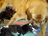 Filename=N2dny4.jpg
Filesize=54KiB
Dimensions=733x550
Date added=%450 %07, %2007 N2dny4.jpg