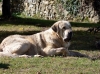 Filename=Naranco3.jpg
Filesize=212KiB
Dimensions=859x644
Date added=%717 %29, %2006 Naranco3.jpg