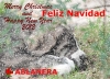 Filename=Navidad-2011-12.jpg
Filesize=181KiB
Dimensions=1057x765
Date added=%049 %17, %2011 Navidad-2011-12.jpg