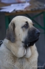 Filename=Nelly.jpg
Filesize=78KiB
Dimensions=400x600
Date added=%698 %13, %2008 Nelly.jpg