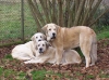 Filename=Nena-Tula-Naranco.jpg
Filesize=76KiB
Dimensions=711x533
Date added=%022 %02, %2006 Nena-Tula-Naranco.jpg