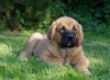 Filename=Neron27_09_06.jpg
Filesize=41KiB
Dimensions=547x400
Date added=%469 %24, %2006 Neron27_09_06.jpg