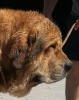 Filename=Nevero_de_los_Zumbos2C_.jpg
Filesize=74KiB
Dimensions=760x960
Date added=%748 %15, %2019 Nevero_de_los_Zumbos2C_.jpg
