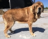 Filename=Nevero_de_los_Zumbos2Cm.jpg
Filesize=101KiB
Dimensions=960x778
Date added=%748 %15, %2019 Nevero_de_los_Zumbos2Cm.jpg