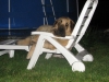 Filename=Night_guard_2.jpg
Filesize=112KiB
Dimensions=832x624
Date added=%725 %06, %2009 Night_guard_2.jpg