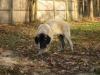 Filename=Nov16-DeNiro-3.jpg
Filesize=33KiB
Dimensions=480x360
Date added=%872 %18, %2008 Nov16-DeNiro-3.jpg