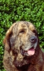 Filename=ORDONOzumbos.jpg
Filesize=51KiB
Dimensions=300x477
Date added=%457 %29, %2006 ORDONOzumbos.jpg