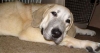 Filename=Oct8%2C2004-072.jpg
Filesize=12KiB
Dimensions=600x322
Date added=%951 %17, %2006 Oct8%2C2004-072.jpg