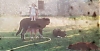 Filename=Oliveros2C1991.jpg
Filesize=34KiB
Dimensions=960x499
Date added=%921 %05, %2021 Oliveros2C1991.jpg