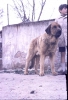 Filename=Oliveros_de_Luis_Esquiró,_año_70.jpg
Filesize=75KiB
Dimensions=600x881
Date added=%874 %25, %2015 Oliveros_de_Luis_Esquiró,_año_70.jpg