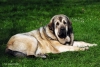 Filename=Orestes1.jpg
Filesize=130KiB
Dimensions=1132x765
Date added=%858 %14, %2012 Orestes1.jpg