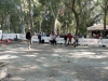 Filename=P1110450.jpg
Filesize=53KiB
Dimensions=600x450
Date added=%865 %15, %2009 P1110450.jpg