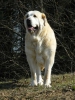 Filename=PICS1~0.jpg
Filesize=77KiB
Dimensions=600x799
Date added=%642 %06, %2009 PICS1~0.jpg