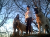 Filename=PICT5267.jpg
Filesize=139KiB
Dimensions=1200x900
Date added=%876 %17, %2008 PICT5267.jpg